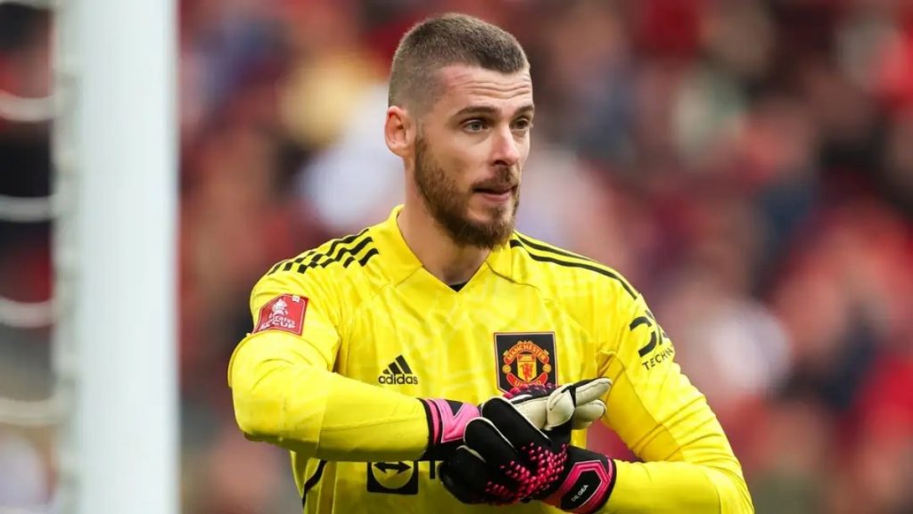 Găng tay thủ môn De Gea của hãng nào? Đôi nét về De Gea